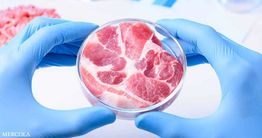 Federal Judge Upholds Florida Ban on Lab-Grown Meat