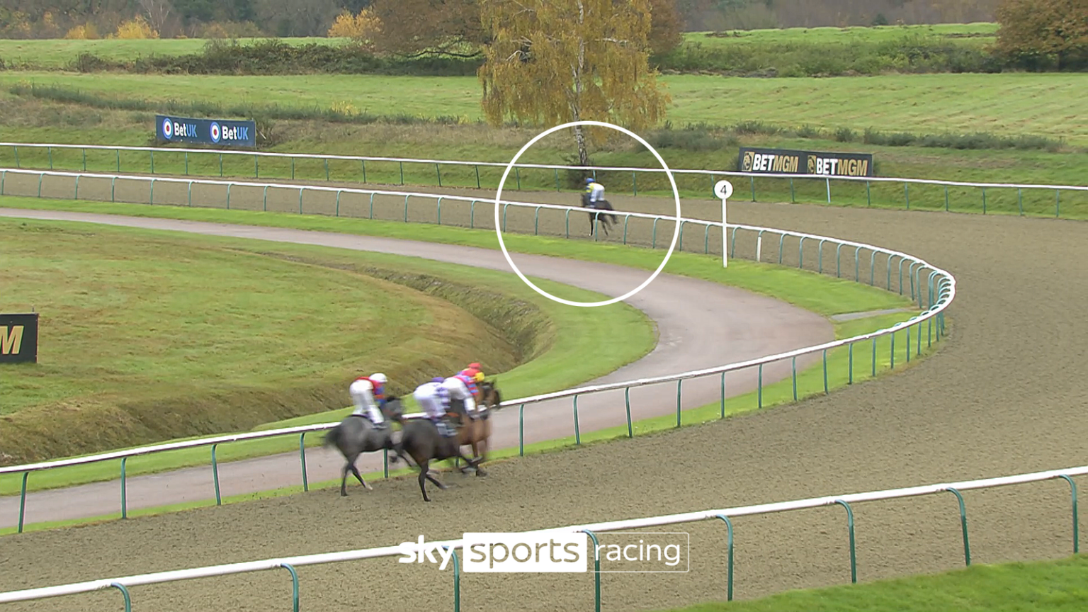 Four jockeys banned after 28/1 shot Certain Style is runaway winner at Lingfield under Tyrese Cameron | Racing News