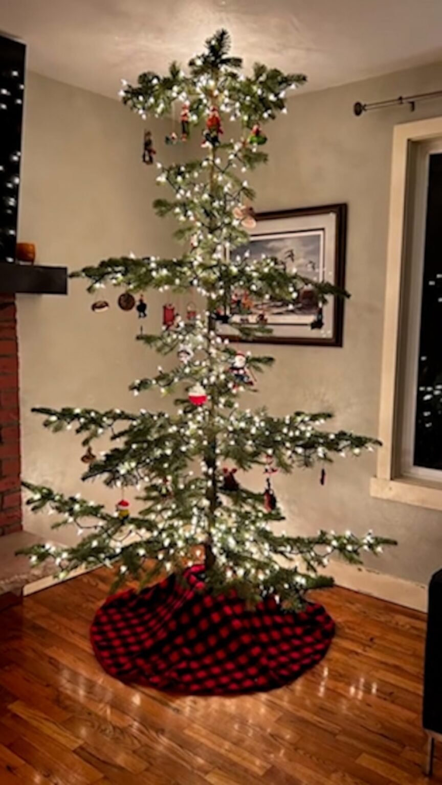 WATCH: Family unexpectedly finds a ‘Charlie Brown’ Christmas tree