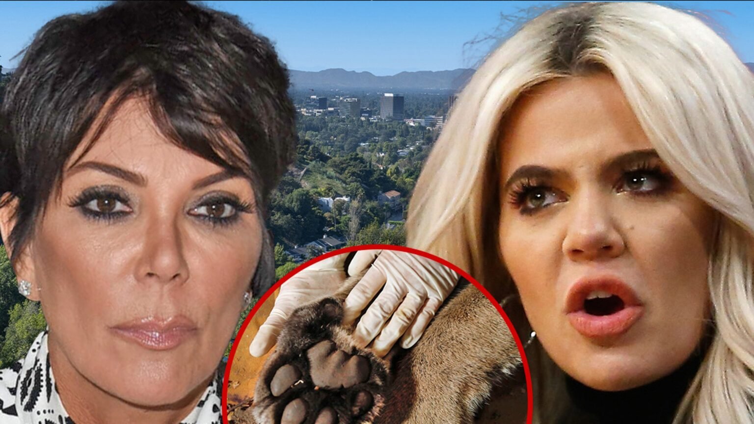 Mountain Lion Seen in Kris Jenner, Khloe Kardashian’s Neighborhood