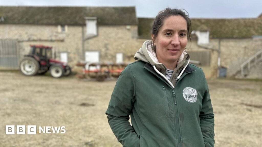 The mega trade deal that has French farmers in uproar