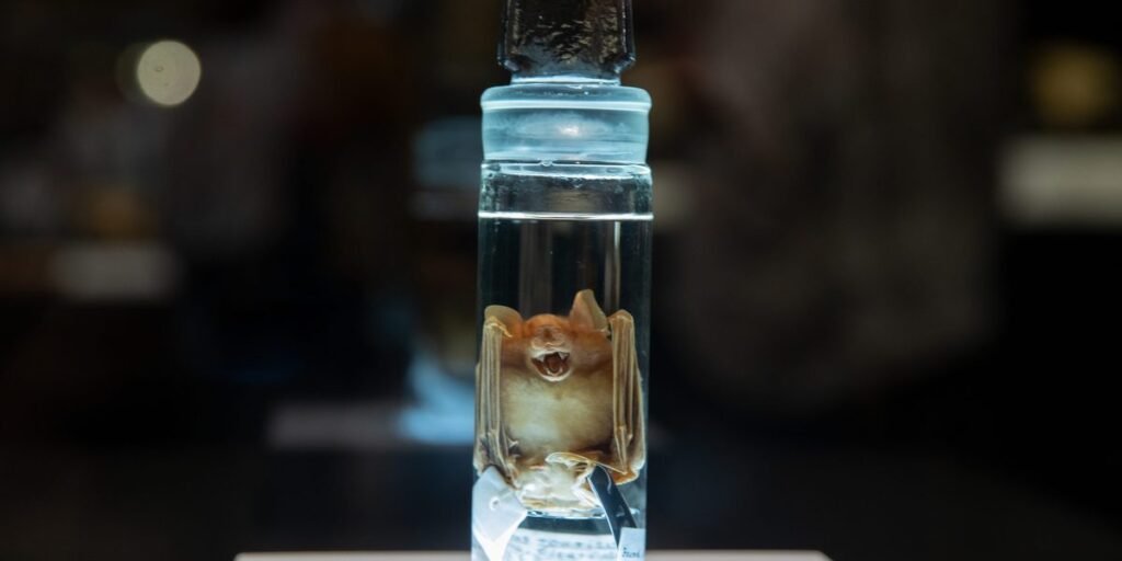 Beijing pushes back as U.S. house lawmakers back COVID Chinese lab leak theory after 2-year probe