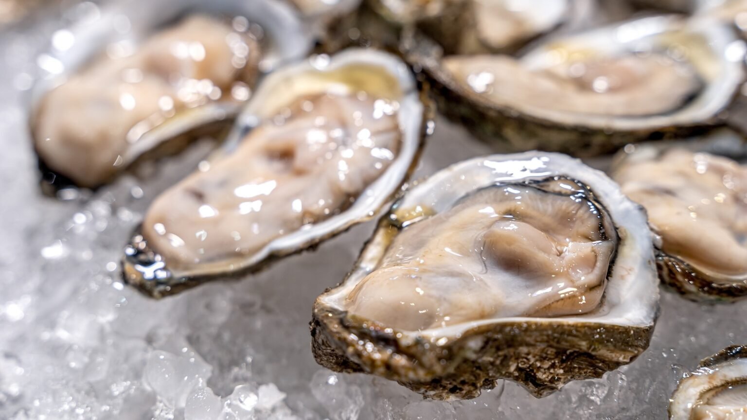 Raw oysters linked to norovirus outbreak leaves at least 80 sickened in Los Angeles