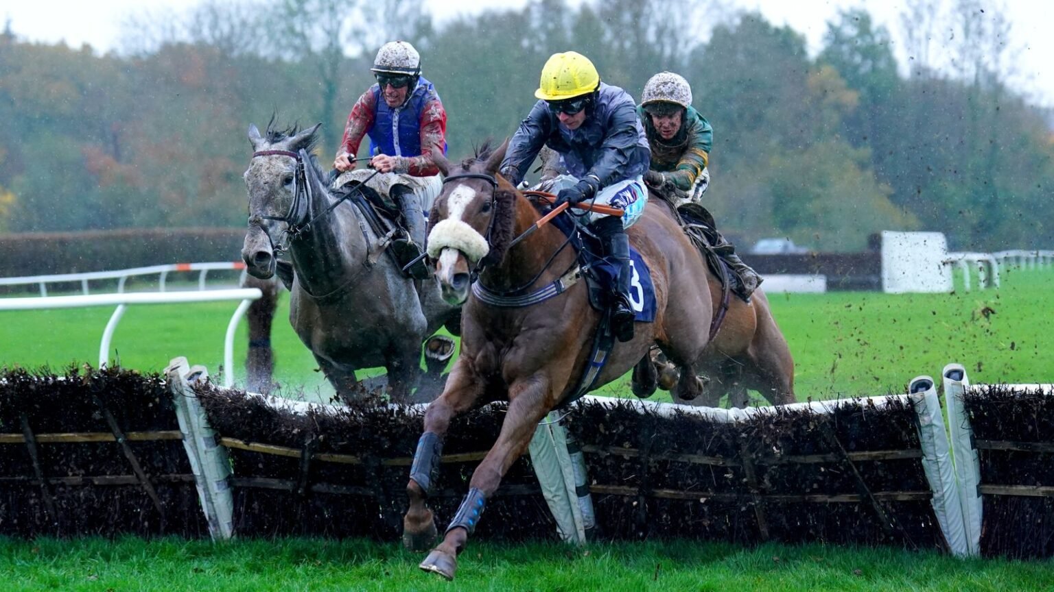 Today on Sky Sports Racing: Newcastle, Lingfield and Wolverhampton feature | Racing News