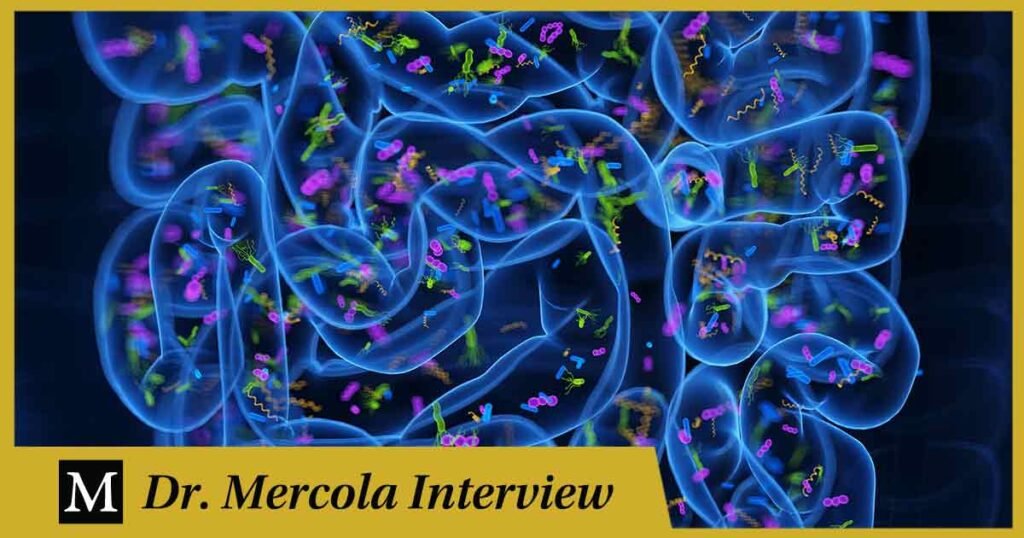 Vincent Pedre – Unlocking the Secrets of Gut Health