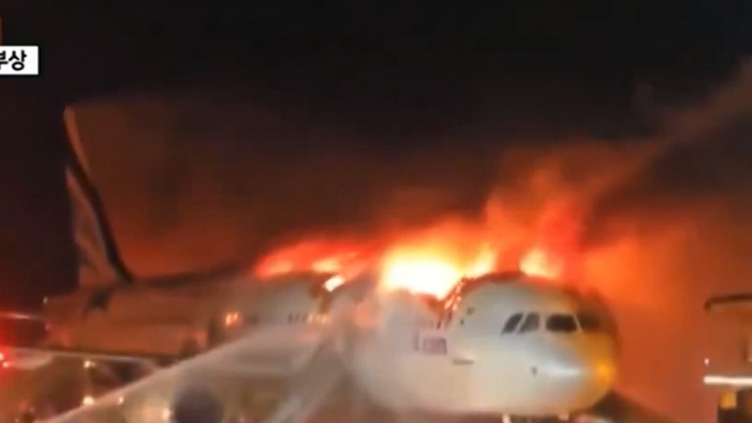 Passenger Plane Goes Up in Flames at South Korean Airport, on Video