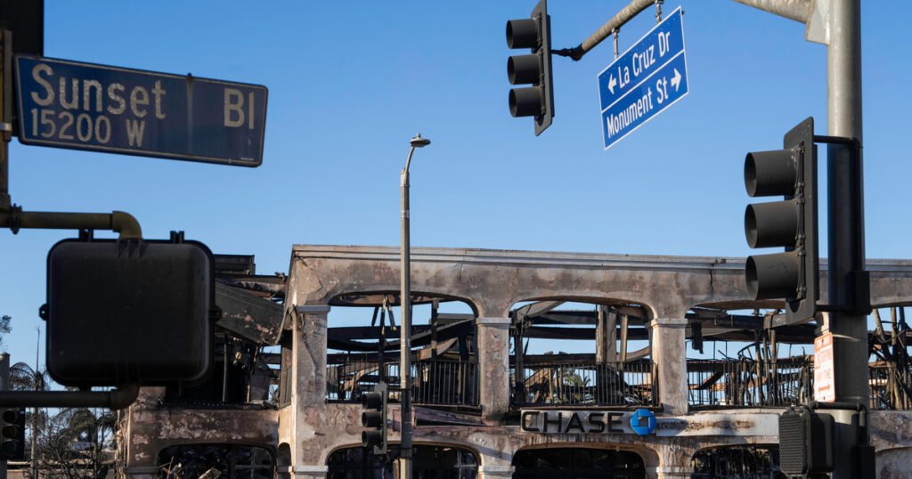 After the Palisades Fire, What Can We Really Rebuild? — ProPublica