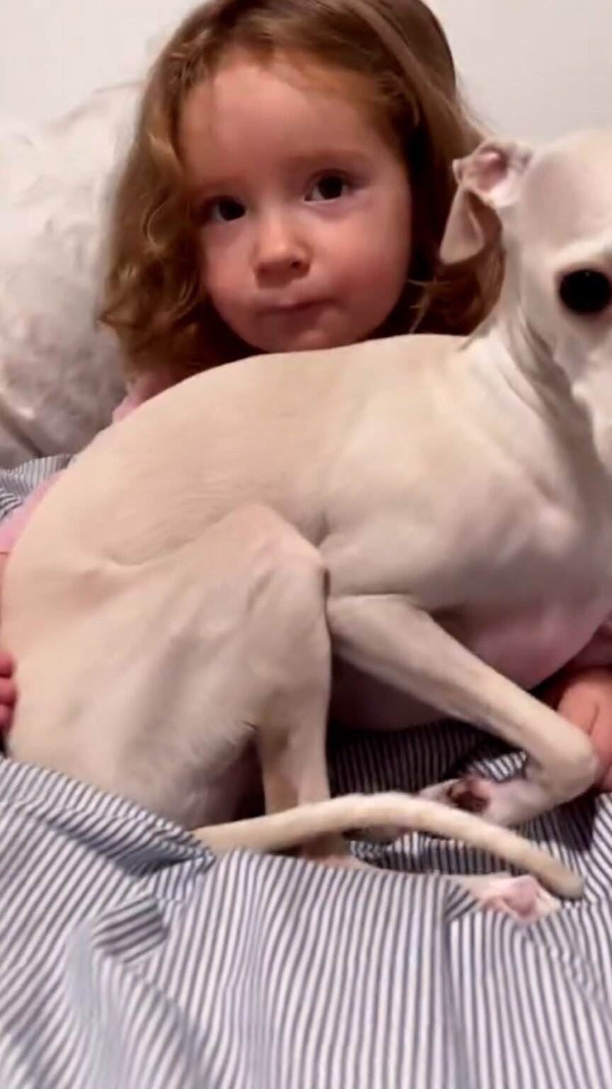 WATCH: Toddler and her dog have never been apart