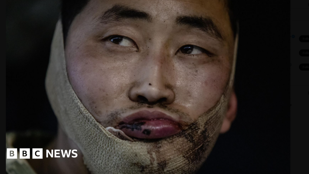 Zelensky offers exchange of North Korean soldiers