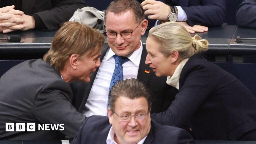 Far-right AfD’s win on asylum vote rocks German parliament