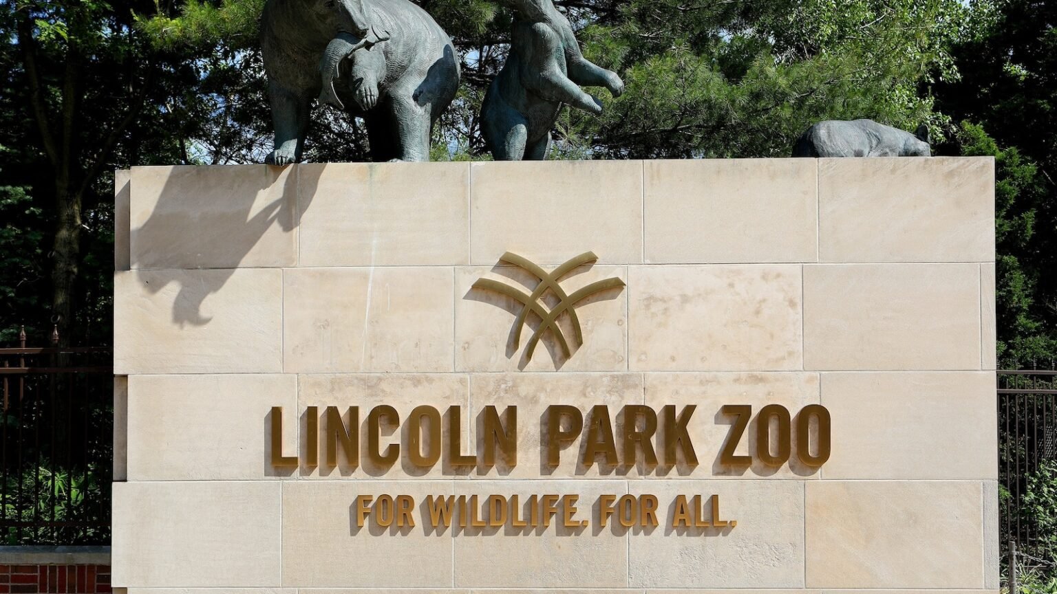 Chilean flamingo and harbor seal dead from bird flu at Chicago’s Lincoln Park Zoo