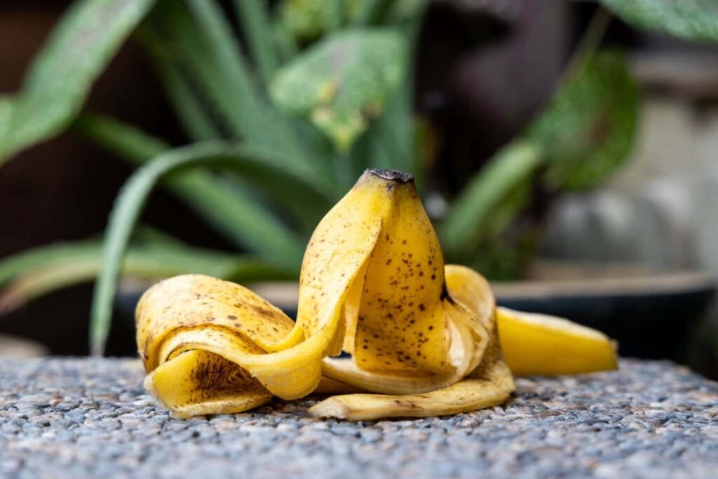 Can you use banana peels to fertilise your plants?