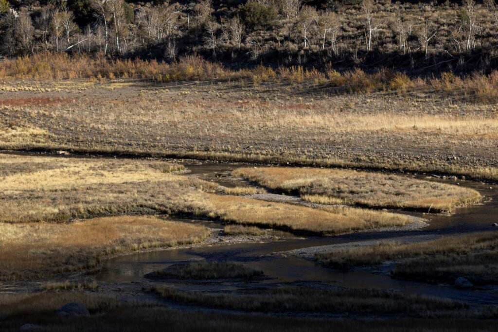 La Niña is finally here but it won’t stay for long