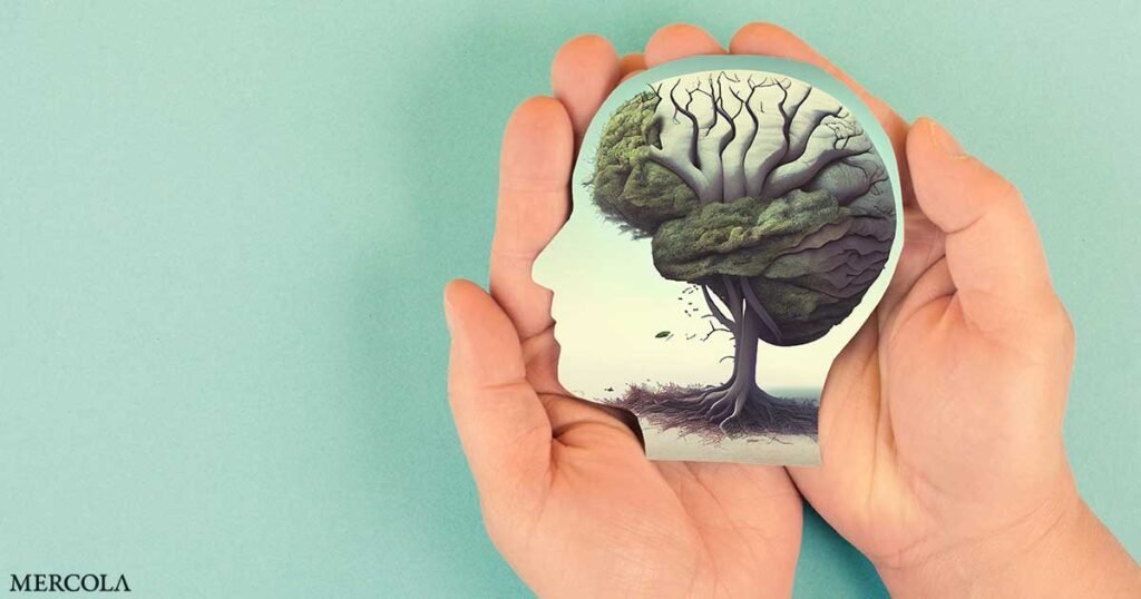 How Calcium and Magnesium Deficiencies Impact Cognitive Health