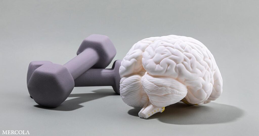 Exercise Transforms Your Brain and Protects Against Cognitive Decline