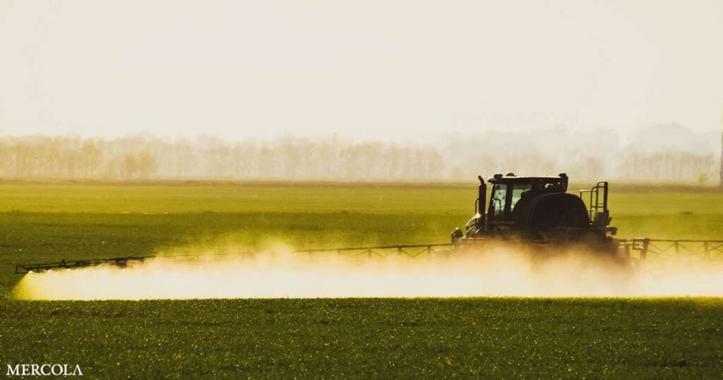 Understanding Glyphosate’s Growing Presence in Agriculture and Its Effects on Human Health