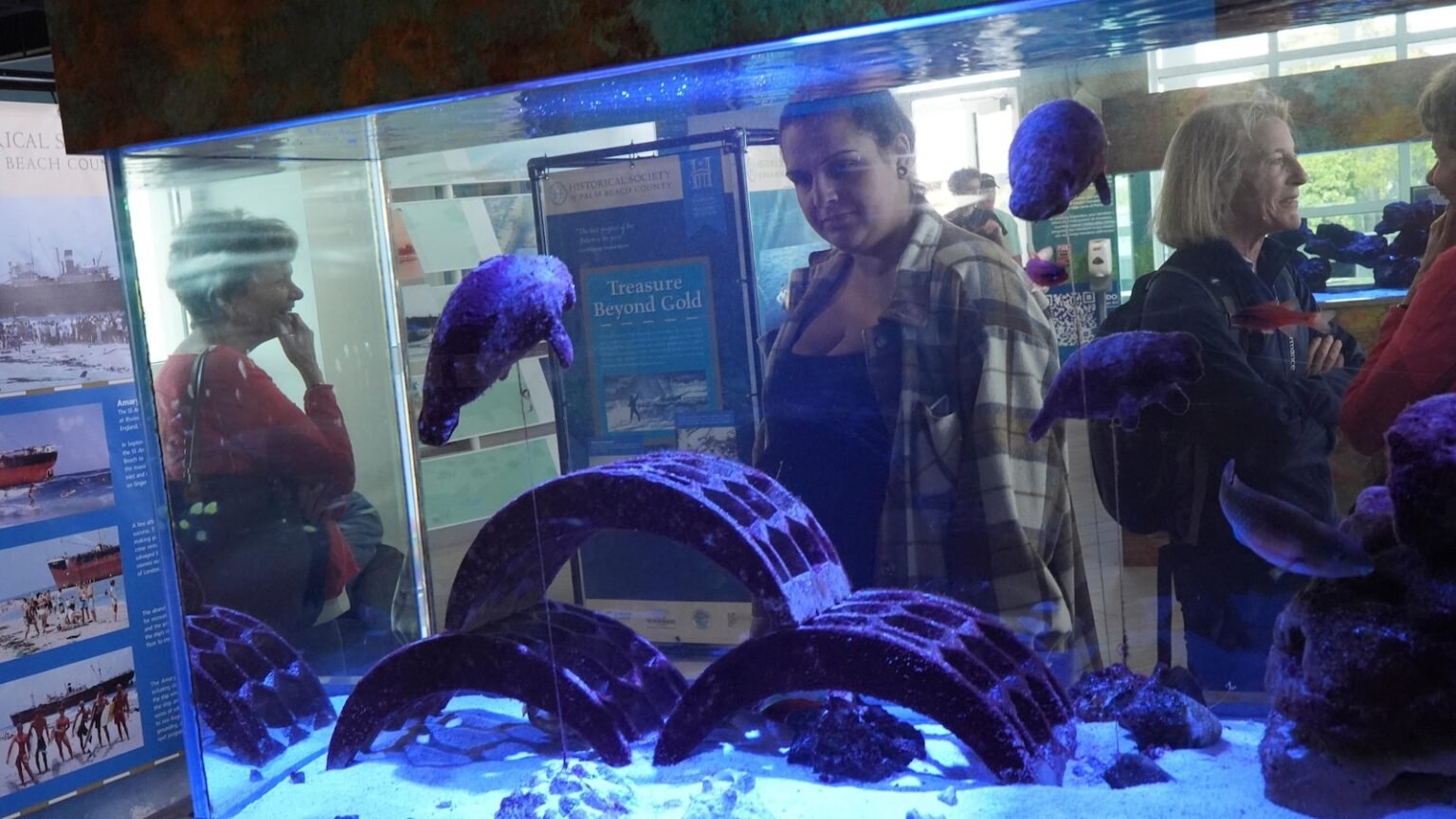 Manatees congregate in warm waters near power plants as US winter storms graze Florida
