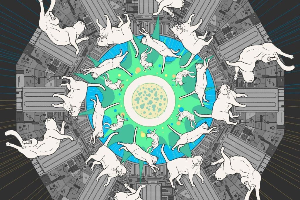 A new kind of experiment at the Large Hadron Collider could unravel quantum reality