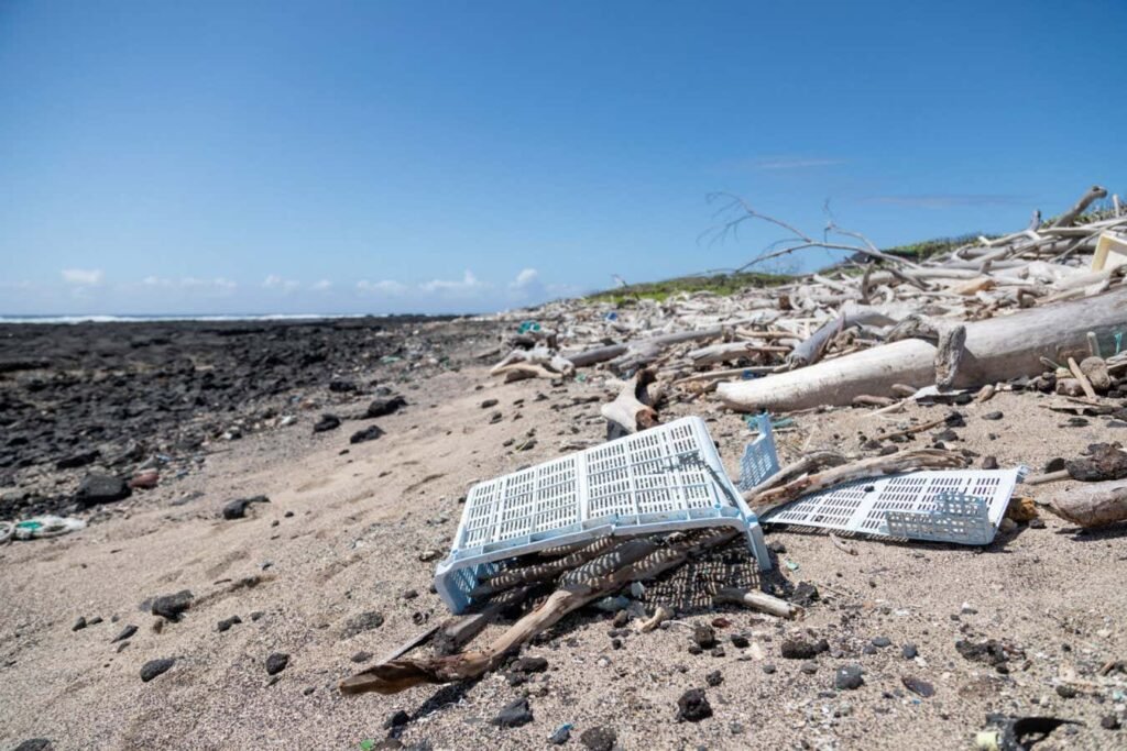 Discarded review: In millions of years, what could a future civilisation learn about us?