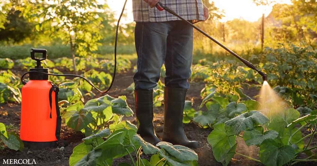 Is This Common Weed Killer Aging Your Brain?