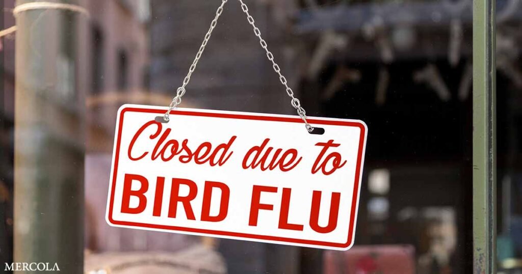 Bird Flu Déjà Vu from the COVID Playbook