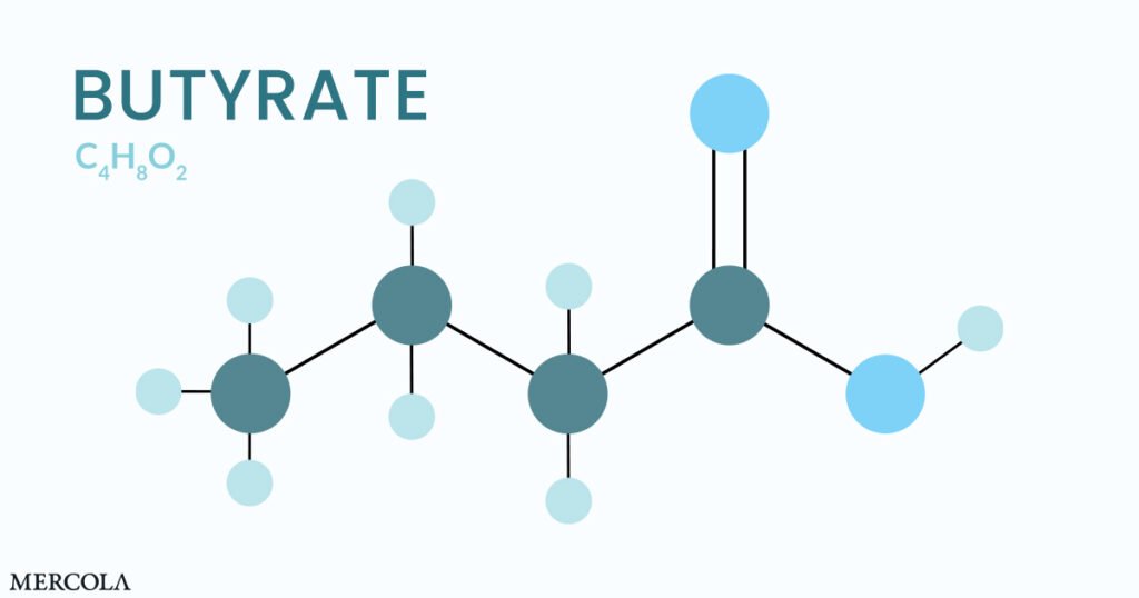 Butyrate — The Metabolic Powerhouse Fueling the Gut and Beyond
