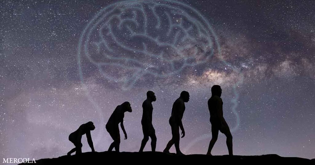 Gut Microbes Drive Evolution of Bigger Brains in Primates