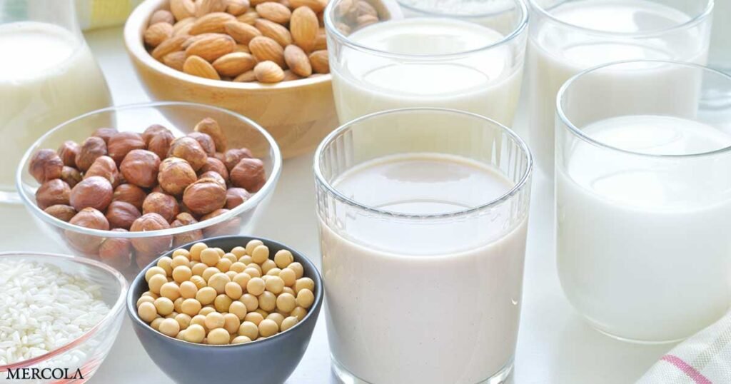 Why Plant-Based Dairy Alternatives Cannot Compare to Cow’s Milk