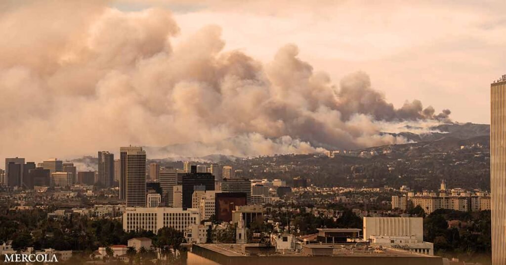 What Wildfire Illness Can Teach Us About Treating COPD