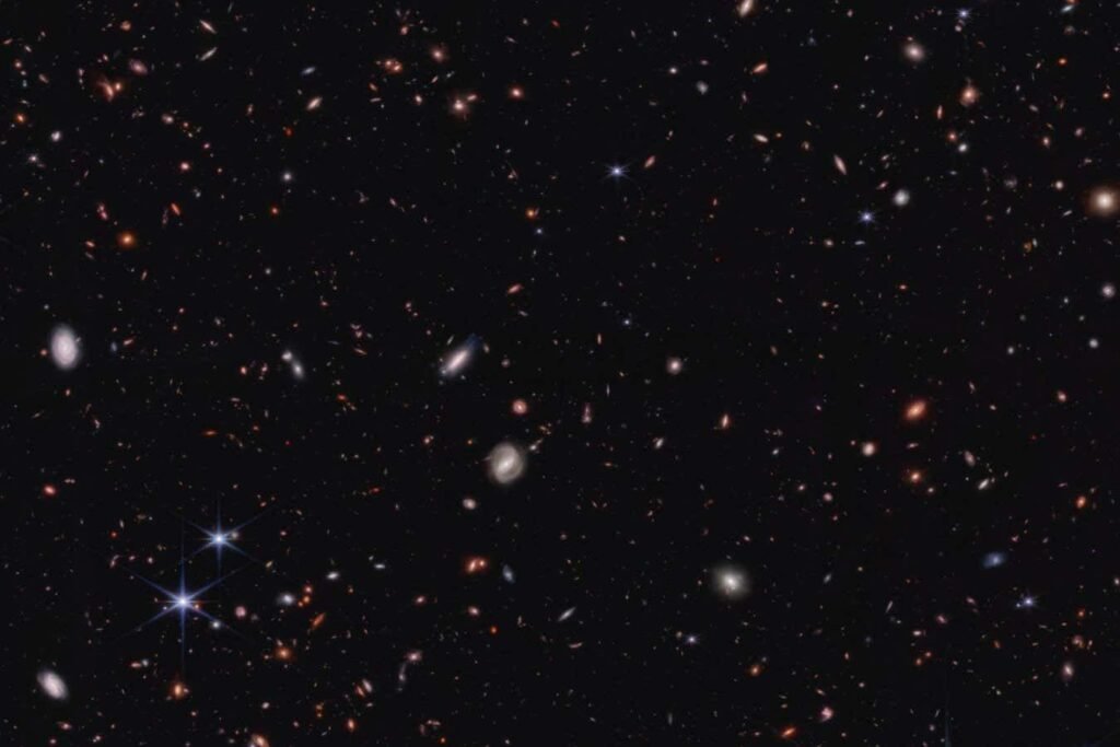 Little red dots seen by JWST might be a kind of black hole 'star'