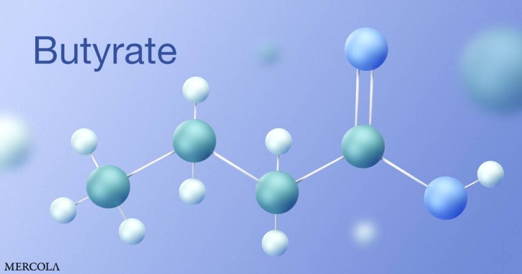 Butyrate’s Impact on Your Immune System