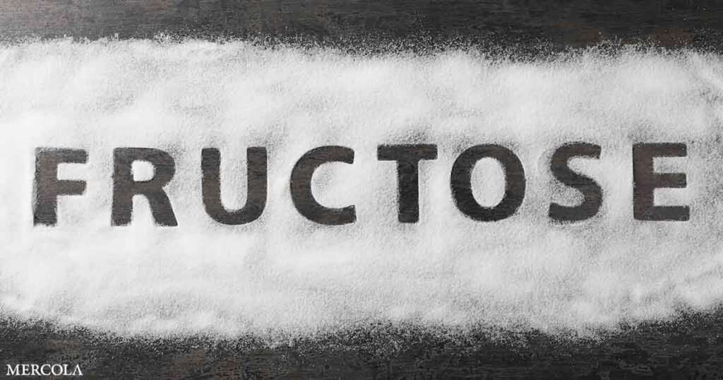 Understanding the Role of Fructose in Redox Balance
