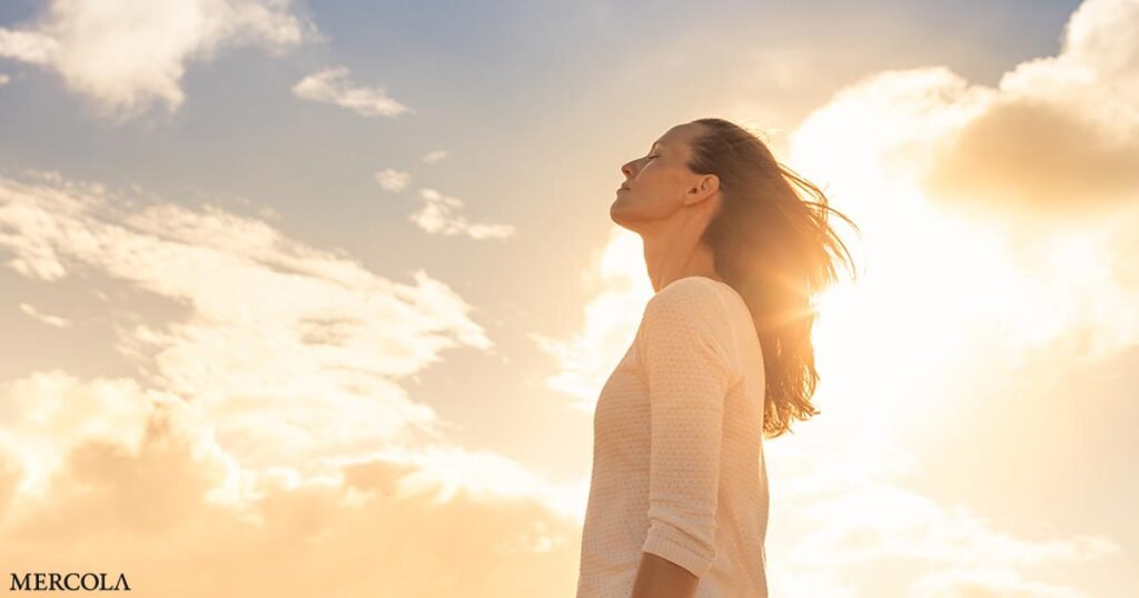 The Role of Sun Exposure in Optimizing Your Cellular Health