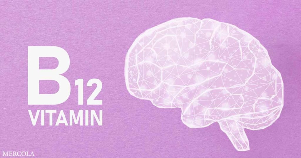 The Importance of Vitamin B12 for Brain Function in Seniors