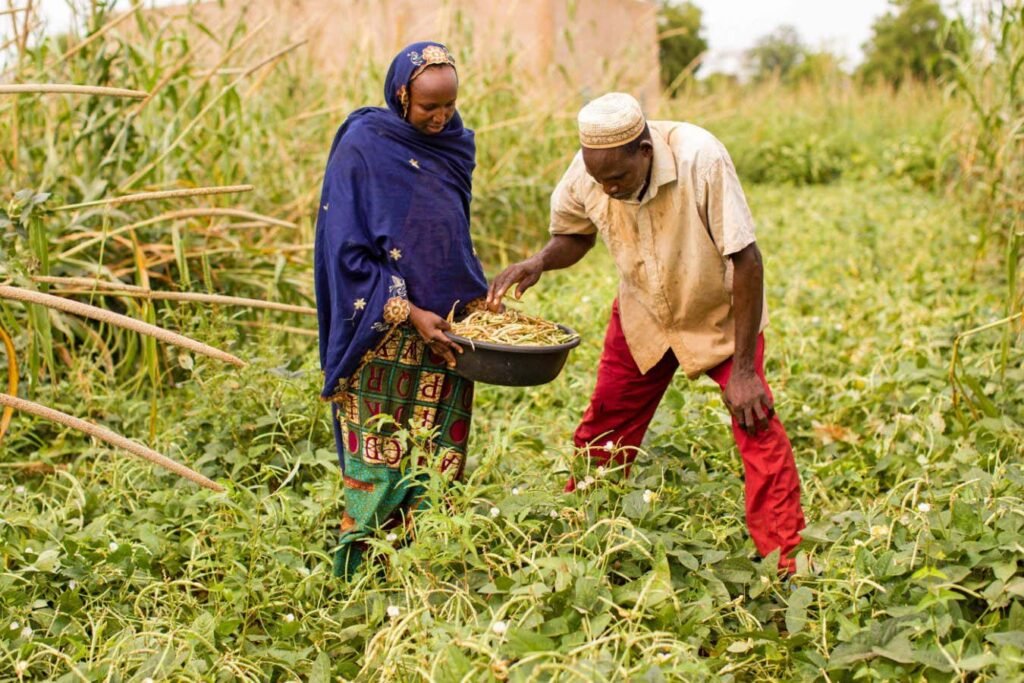 Aged human urine is a pungent pesticide as well as a fertiliser