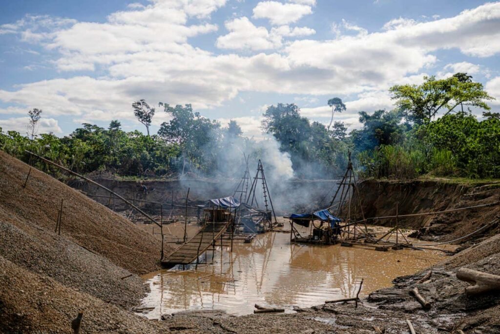 Trees capture toxic fingerprint of gold mining in the Amazon