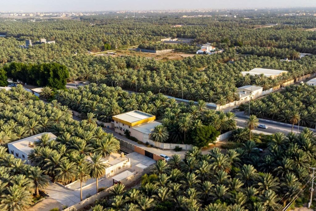 Arabia has been green for long spells in the past 8 million years