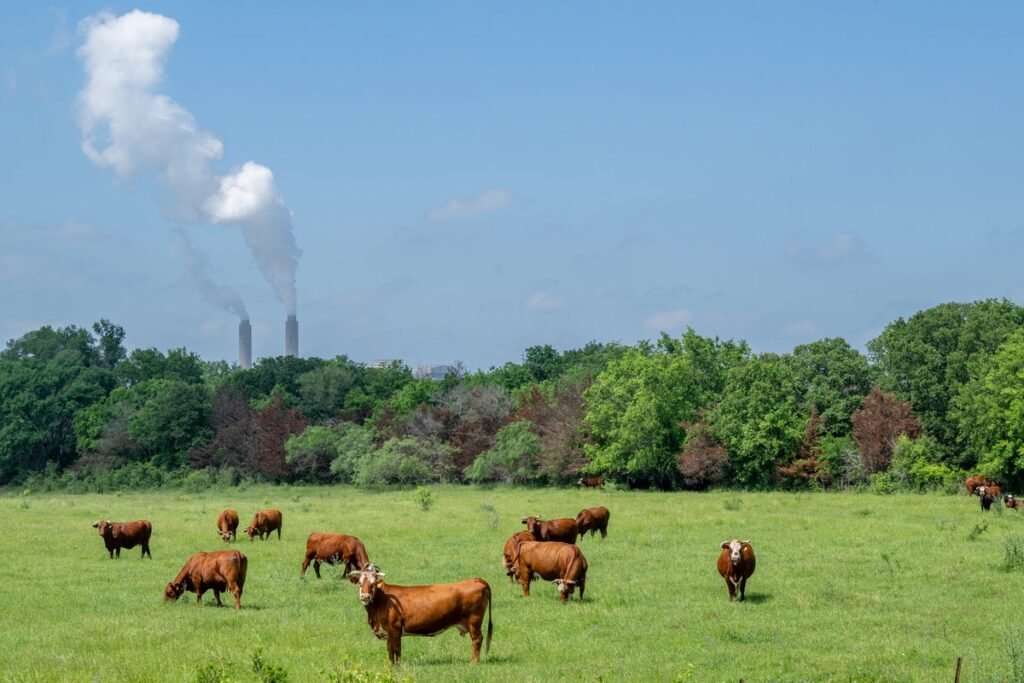As Happened in Texas, Ignoring EPA Science Will Allow Pollution and Cancer to Fester