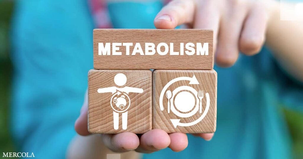 Metabolic Health Through Real-Time Data