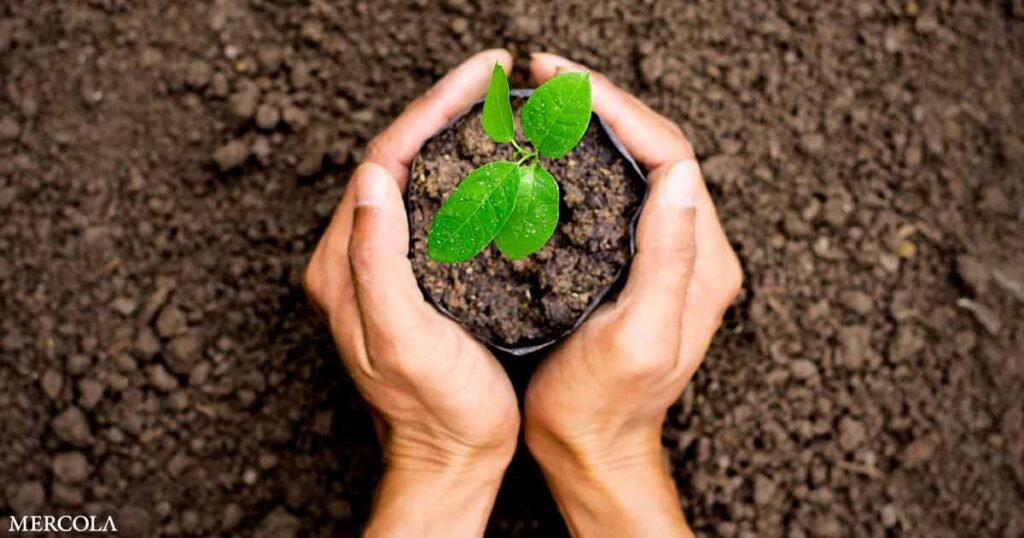 How Digging in the Dirt Helps Preserve Your Brain