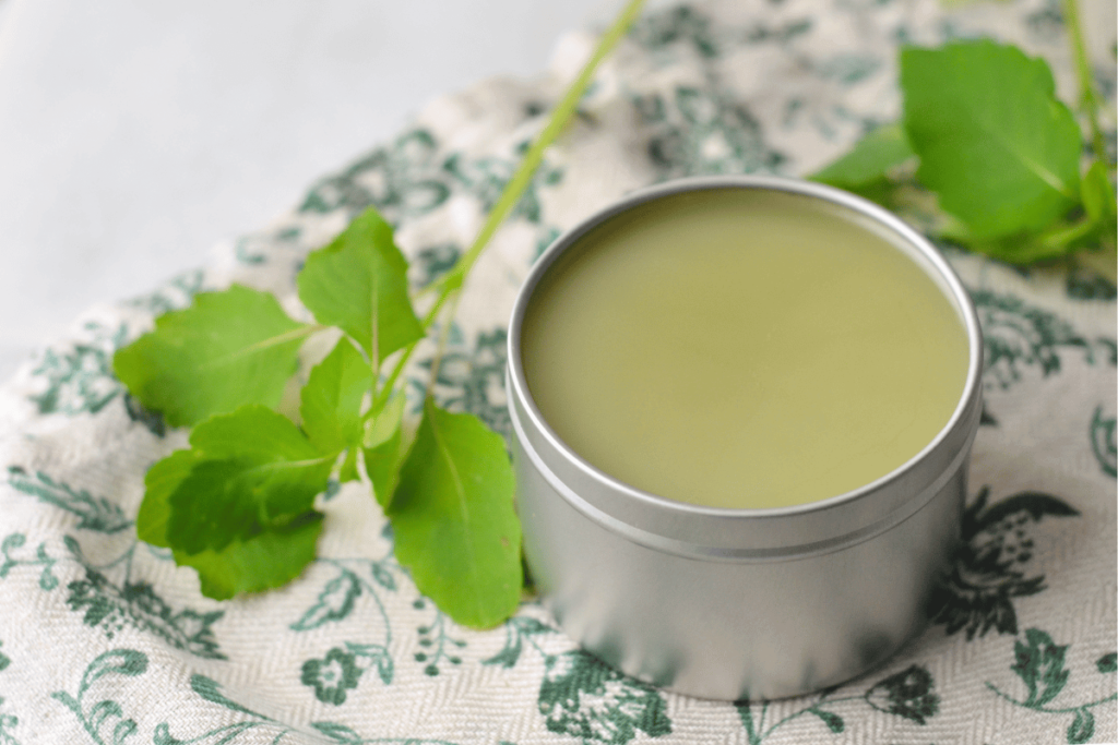DIY Jewelweed Salve For Poison Ivy (and More!)