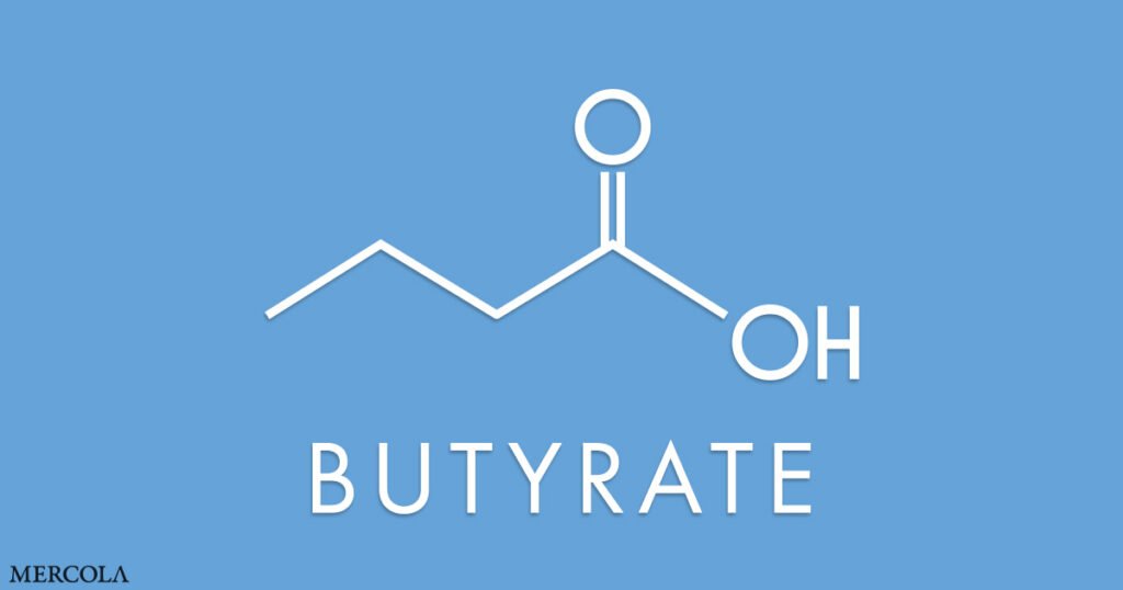 Understanding Butyrate – The Key to Optimal Health and Well-Being