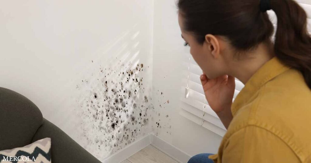 Black Mold Is More Likely to Trigger Allergies Than Cause Toxic Reactions