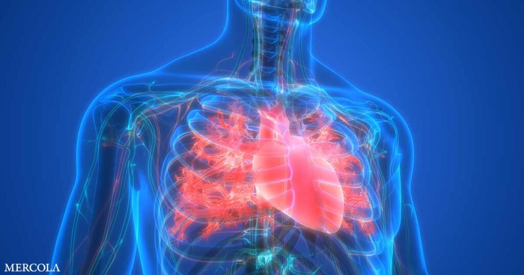 A Change in Diet Alone Already Benefits Your Cardiometabolic Health