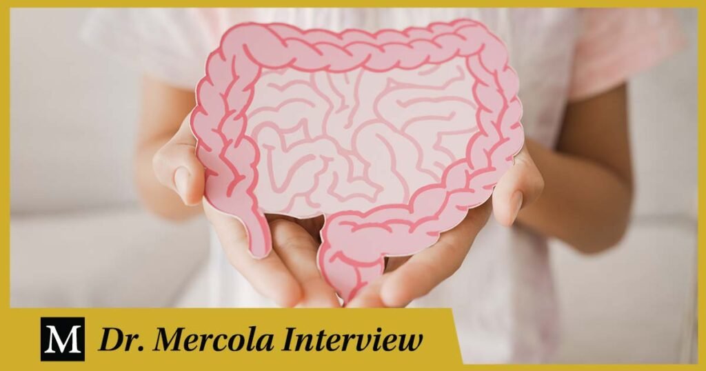 Heather Moday – Integrative Medicine Expert Reveals Links Between Gut Health, Immunity, and Wellness