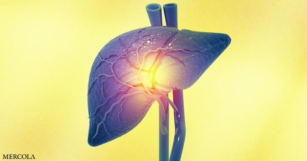 Vitamin K Helps Lower Mortality Risk in People with Fatty Liver Disease