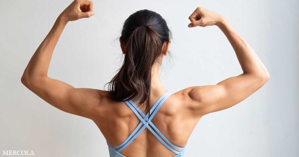 Krill Oil Helps Preserve Muscle and Boost Your Energy Levels