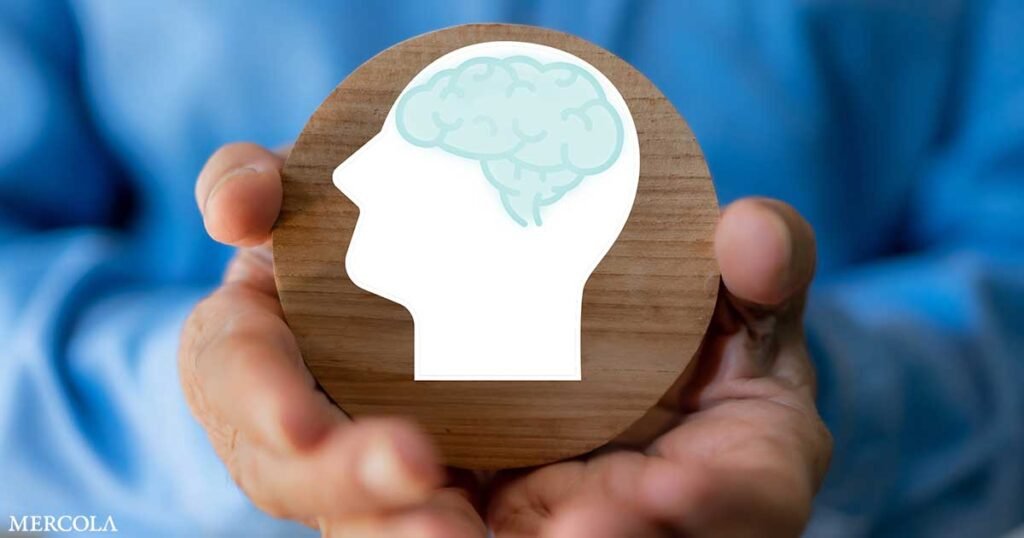 Prebiotics Influence Gut Bacteria That Raise Brain GABA Levels