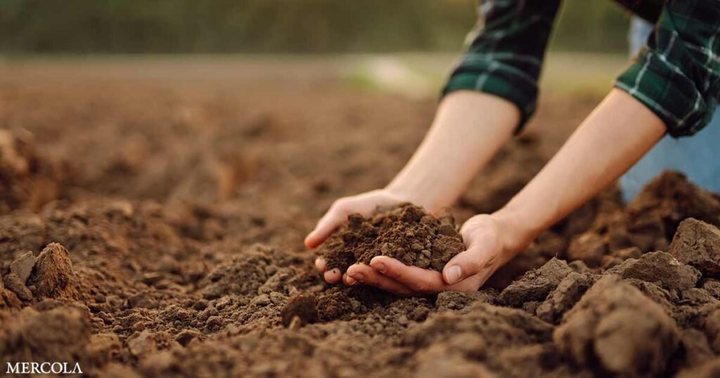 Why Biostimulants Outperform Fertilizers in Building Lasting Soil Health