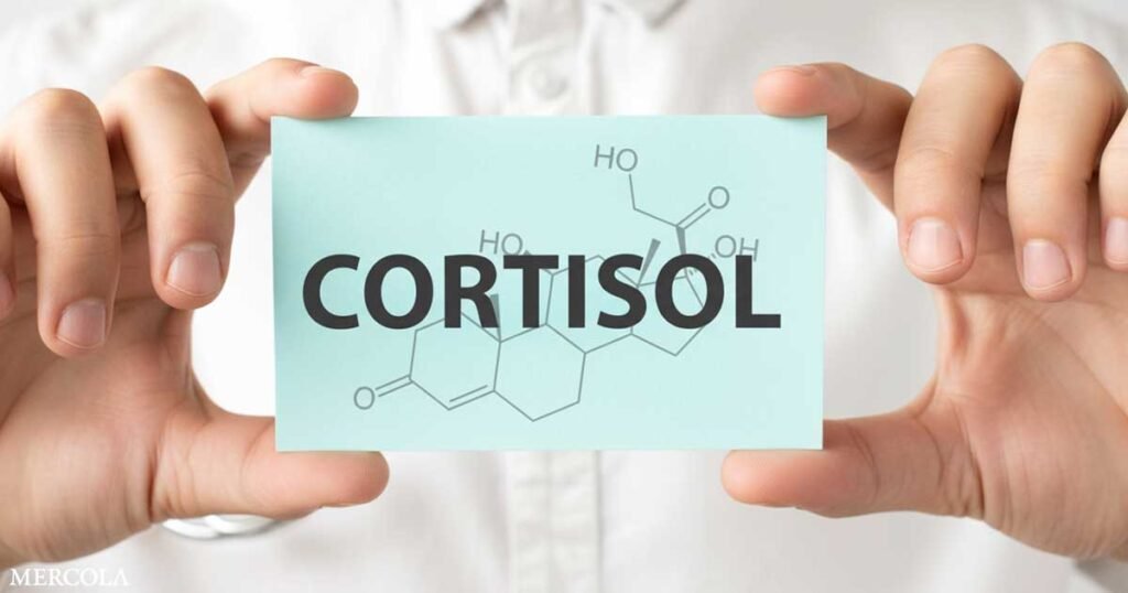 The Surprising Role of Cortisol in Alzheimer’s